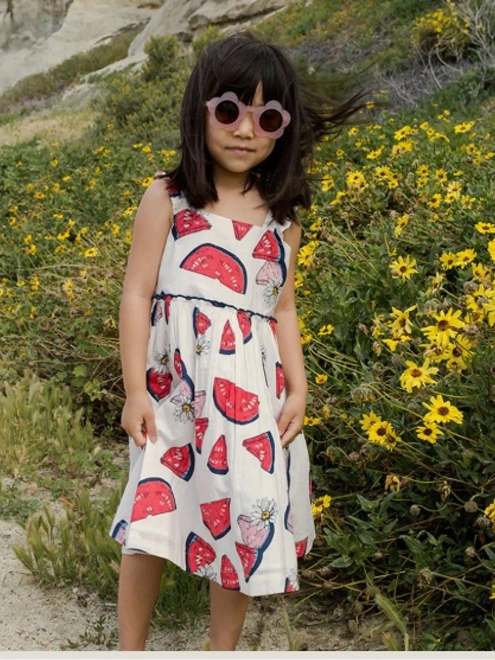 Pink chicken 6 new watermelon dress